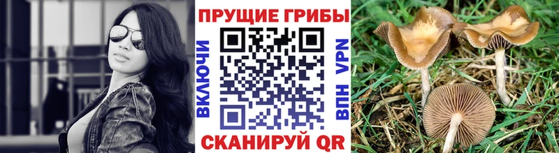 Галлюциногенные грибы мухоморы  Янаул 